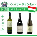 赤白ワインセット ナチュラルワイン