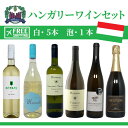 白 泡 ワインセット