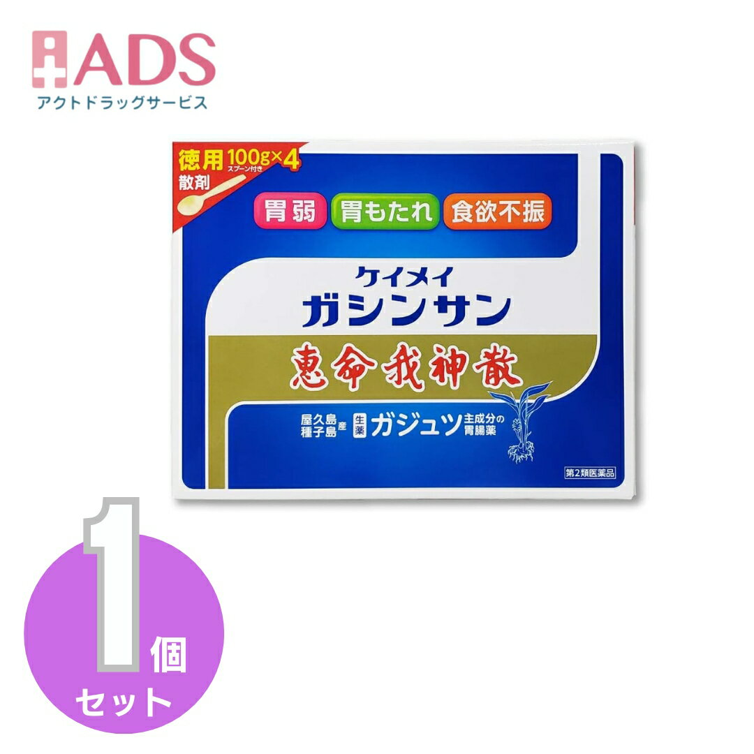 【第2類医薬品】恵命我神散 100g 4袋...