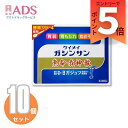 【第2類医薬品】恵命我神散 100g 4袋≪10セット≫