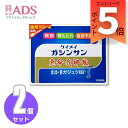 【第2類医薬品】恵命我神散 100g 4袋≪2セット≫