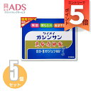 【第2類医薬品】恵命我神散 100g 4袋≪5セット≫