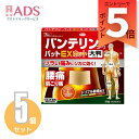 【第2類医薬品】バンテリンコーワパットEXホット 大判サイズ 7枚 ≪5セット≫セルフメディケーション税制対象【興和株式会社】腰痛 肩こり痛