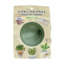 マグカップスプラウト ペールグリーン フォレスト