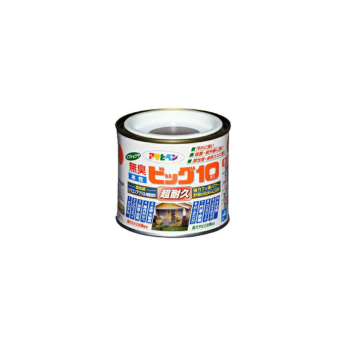 �����ӥå�10¿���� �����ҥڥ� 1/5L 242 �֥饦�� �������� ���� �ڥ�