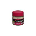 速乾ニス アサヒペン 100ML 透明(クリヤ) 塗料 塗装 ペンキ