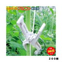 くきたっちアルファ 薄紫 200個 シーム 園芸用品・ガーデニング用品
