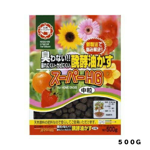 ȰѡHG γ 500g  ڱ 