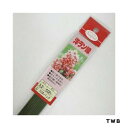 洋ラン線 10P 3.2X500 TWB 渡辺泰 園芸用品・ガーデニング用品