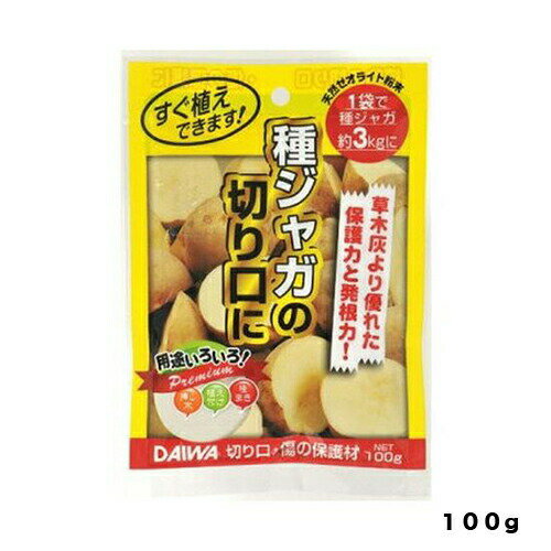 切り口・傷の保護材　100G　大和　