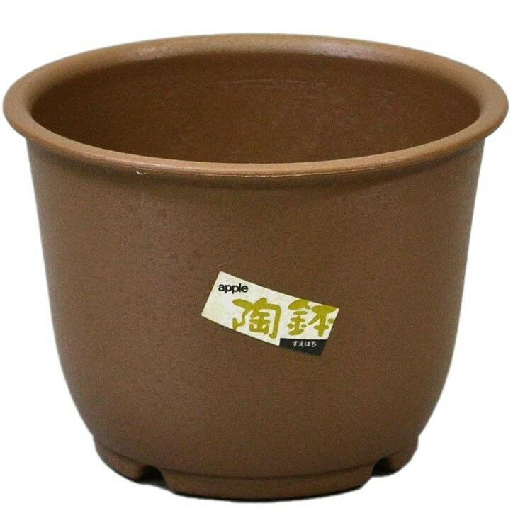 陶鉢 輪型5号 きん茶 アップルウェ
