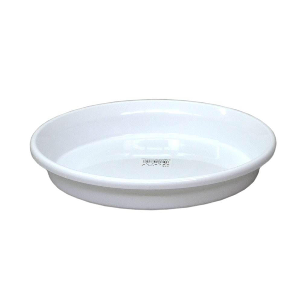鉢皿F型 8号 ホワイト アップルウェ