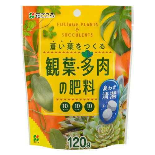 ★観葉・多肉の肥料　120g　花ごころ　園芸用品・ガーデニング用品