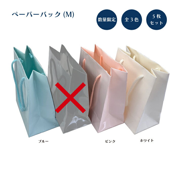 ペーパーバッグ(M)5枚set