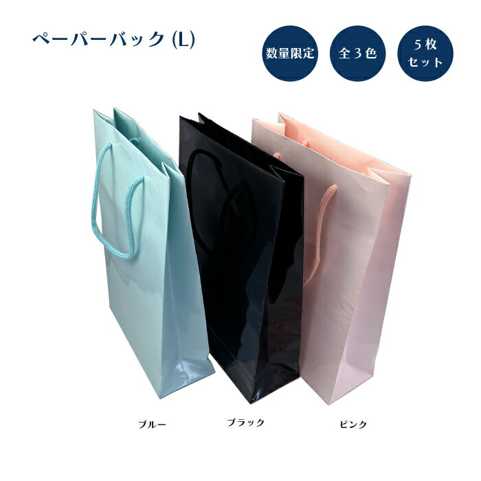 ペーパーバッグ(L)5枚set