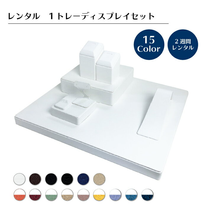 【レンタル】ジュエリー&アクセサリーディスプレイキット 撮影 15色 リング ネックレス イヤリング ピアス 簡単 手軽 宅配可 着払伝票付き