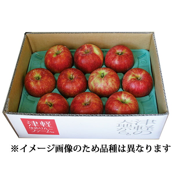 【8月末～9月下旬発送】★希少品種りんご・クール便・送料無料【青森県産林檎・冷蔵便】 未希ライフ 秀品 約3kg(8-12個入） 認証有 化学肥料・除草剤不使用 贈答用 プレゼントにも！ 御祝 誕生日 御礼 産地直送 ハロウィン ※沖縄・離島：送料1100円 adumasi-10000979 津軽ゆめりんごファーム サンプル画像2