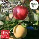 【贈答用やお歳暮にも！・11月収穫】送料無料 葉とらずサンふじ・王林（おうりん） 詰め合わせ 高級品 ...