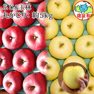 送料無料 葉とらずりんご 【葉とらずサンふじ・王林(おうりん) 詰め合わせ 丸かじり 約5kg 県認証有り】 2種類 詰め合わせ 小さめ 特別栽培農産物認証 青森県産りんご 贈答用・ギフト ※沖縄・離島:送料1000円+税