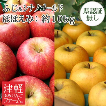 【訳あり】 送料無料 青森県産りんご 【葉とらずサンふじ・シナノゴールド】 詰め合わせ ほほえみ 約10kg 県認証無し 詰め合わせ 国産 認なし ※沖縄・離島:送料1000円+税