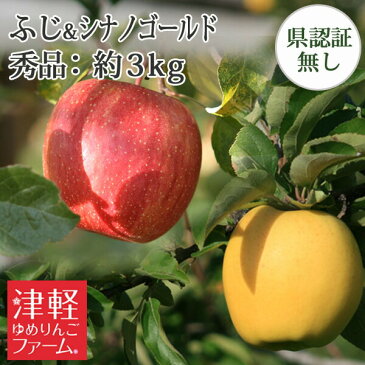 送料無料 青森県産りんご 【葉とらずサンふじ・シナノゴールド】 詰め合わせ 秀品 約3kg 県認証無し 国産 認なし ※沖縄・離島:送料1000円+税