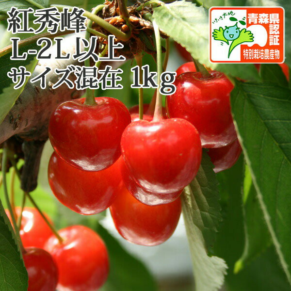 【送料無料※日付指定不可※冷蔵便変更有】青森県産 さくらんぼ　紅秀峰　秀品 2L-L 1kg（500 ...
