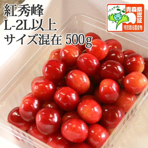 【送料無料※日付指定不可 ※冷蔵便有】青森県産 さくらんぼ 紅秀峰　秀品 2L-L 500g（ハウス栽培/秀品/バラ詰め/認証有） 減農薬 低農薬 農薬削減 化学肥料不使用 特別栽培農産物 発砲スチロール】大粒 夏ギフト 贈答用 プレゼント【配送地区限定】のサムネイル