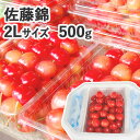 早期予約販売【※日付指定不可・送料無料・※冷蔵便有】青森県産 さくらんぼ 佐藤錦2Lサイズ混在500g(ハウス栽培/秀品/バラ詰/認証有) 減農薬 低農薬 農薬...