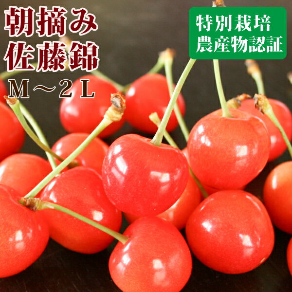 6月中‐7月初旬発送【�
