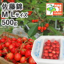 早期予約【※日付指定不可・送料無料・※冷蔵便有】青森県産 さくらんぼ 佐藤錦M-Lサイズ混在500g(ハウス栽培/秀品/バラ詰/認証有)減農薬 低農薬 農薬削減...