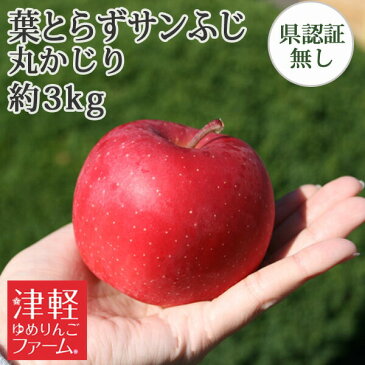送料無料 葉とらず栽培 【葉とらずサンふじ 丸かじり 約3kg 県認証無し】 小さめ 食べきりサイズ 青森県産りんご ※沖縄・離島:送料1000円+税