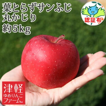 送料無料 葉とらず栽培 【葉とらずサンふじ 丸かじり 約5kg 県認証あり】青森県特別栽培農産物 減農薬 小さめ 食べきりサイズ 青森県産りんご ※沖縄・離島:送料1000円+税