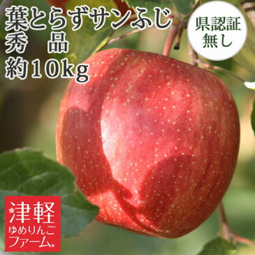 送料無料 葉とらずりんご 【葉とらずサンふじ 秀品 約10kg 県認無し】 お手軽 家庭用 青森県産りんご 贈答用・ギフト ※沖縄・離島:送料1000円+税