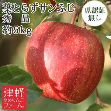 送料無料 葉とらずりんご 【葉とらずサンふじ 秀品 約5kg 県認無し】 お手軽 家庭用 青 青森県産りんご 贈答用・ギフト ※沖縄・離島:送料1000円+税