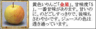 金星　青森県産りんごジュース　林檎ジュース　　ストレート　★金星で作った甘めの無添加青森県産りんごジュース★　青森　1L　単品