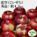 生産量の少ない希少品種で夏ギフト!【送料無料・8月発送・冷蔵便 青森県産りんご 恋空(こいぞら) 秀品 約4.5kg 県認証無し 化学肥料不使用 葉とらず 贈答用 内祝 プレゼント 夏ギフト 残暑見舞にもさわやかな味わいの夏林檎!