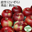 生産量の少ない希少品種の夏りんご!【送料無料・8月発送・冷蔵便】 青森県産りんご 恋空(こいぞら) 秀品 約9kg 県認証無し お手軽品 化学肥料不使用 残暑お見舞い 贈答用 御祝 お礼 誕生日 国産リンゴ 弘前産 林檎 夏ギフト ※沖縄・離島:送料1000円+税