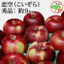 生産量の少ない希少品種の夏りんご!【送料無料・8月発送・冷蔵便 青森県産りんご 恋空(こいぞら) 秀品 約9kg 県認証 葉とらず 贈答用 内祝 プレゼント 夏ギフト 残暑見舞にもさわやかな味わいの夏林檎!