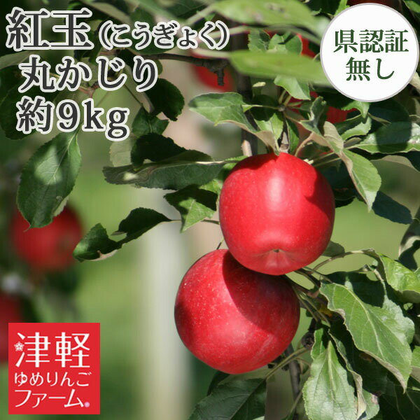※セール対象外【送料無料】紅玉 丸かじり(秀品・小玉) 約9kg(50-56玉) 減農薬 化学肥料不使用(無化学肥料) 県認証無し 小さめ 国産 認なし 青森県...