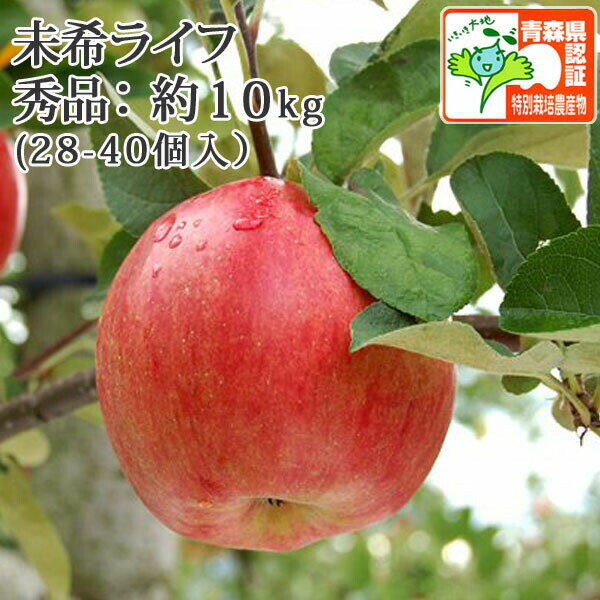 送料無料【青森県産林檎・冷蔵便・順次発送中】 未希ライフ 秀品 約10kg(28-40個入） 認証有 贈答用 プレゼントに！ 御祝 誕生日 御礼 産地直送 ハロウィン ※沖縄・離島：送料1100円のサムネイル