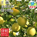 【 送料無料】 王林 ほほえみ(訳あり) 約10kg 県認証有り 青森県産りんご キズ有り 特別栽培農産物 贈答用・ギフト ※沖縄・離島:送料1100円