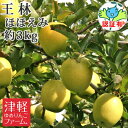 【 送料無料】 王林 ほほえみ(訳あり) 約3kg 県認証有り 青森県産りんご キズ有り 特別栽培農産物 贈答用・ギフト 】 ※沖縄・離島:送料1100円