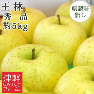 【お歳暮】送料無料 王林 おうりん 秀品 約5kg 県認証無し 青森県産りんご 贈答用・ギフト ※沖縄・離島：送料1100円