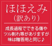 【訳あり】送料無料 葉とらずりんご 【葉とらずサンふじ・王林 詰合せ ほほえみ 約3kg 県認証無し】 詰め合わせ キズ有り 青森県産りんご ※沖縄・離島:送料1000円+税