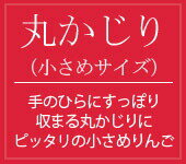 送料無料 葉とらずりんご 【葉とらずサンふじ・王林(おうりん) 詰め合わせ 丸かじり 約5kg 県認証有り】 2種類 詰め合わせ 小さめ 特別栽培農産物認証 青森県産りんご 贈答用・ギフト ※沖縄・離島:送料1000円+税