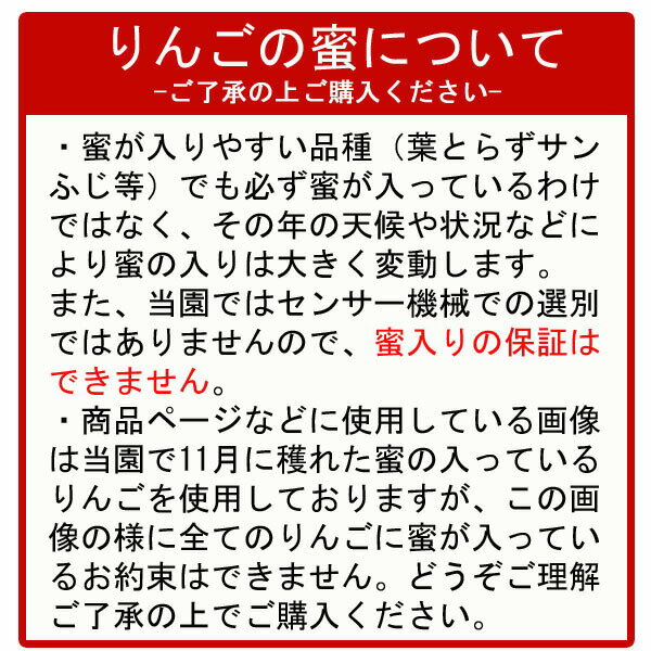 【訳あり】送料無料 葉とらず栽培 【葉とらずサンふじ・王林 詰合せ ほほえみ（訳あり） 約10kg 県認証有り】 キズ有り 特別栽培農産物認証 青森県産りんご ※沖縄・離島：送料1100円