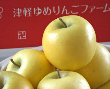 送料無料 青森県産りんご 【シナノゴールド】 丸かじり 約10kg 県認証有り 小さめ 特別栽培農産物 国産 ※沖縄・離島:送料1100円