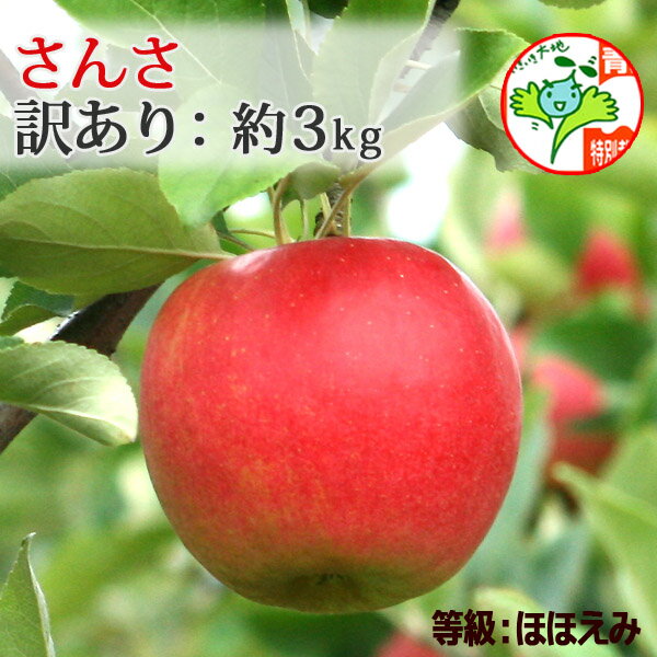 【送料無料・青森県産林檎】9月中旬発送　さんさ　ほほえみ（訳あり）　約3kg（8-14個入）　県認証有り　葉とらずりんご 家庭用 減農薬栽培 青森りんご 国産 弘前 特栽 御祝 誕生日 御礼 産地直送 ハロウィン ※沖縄・離島：送料1100円のサムネイル