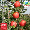 商品画像2