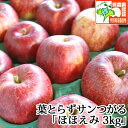 9/5までポイント3倍【送料無料】【訳あり】 葉とらずサンつがる ほほえみ 約3kg 県認証有り 青森県産りんご キズ有り等 特別栽培農産物認証 国産 御祝い 誕生日 内祝 御礼 産地直送 津軽産林檎 9月 ハロウィン ※沖縄・離島:送料1100円